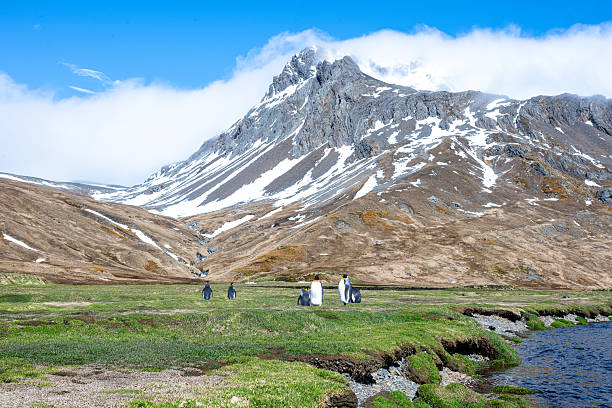 Antarctica & South Georgia Grand
